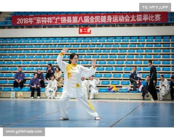 2018年太极拳_2017太极盛世全球巅峰对决大赛