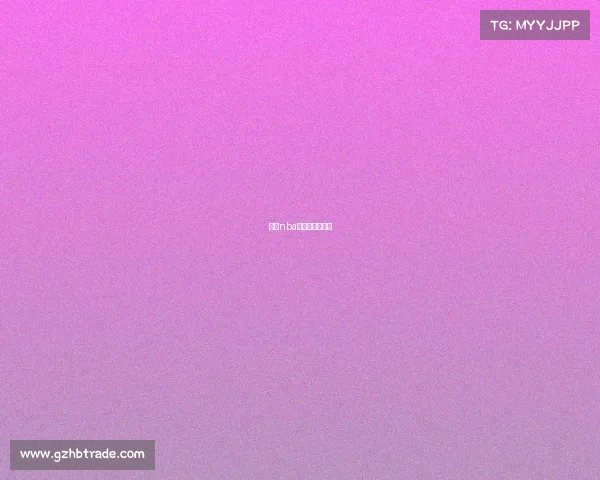 今天nba火箭队赛事安排